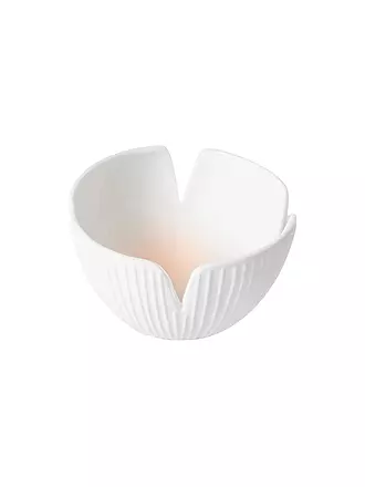 RAEDER | Schälchen 9x5cm DAS BLUEHENDE LEBEN Daisy | 